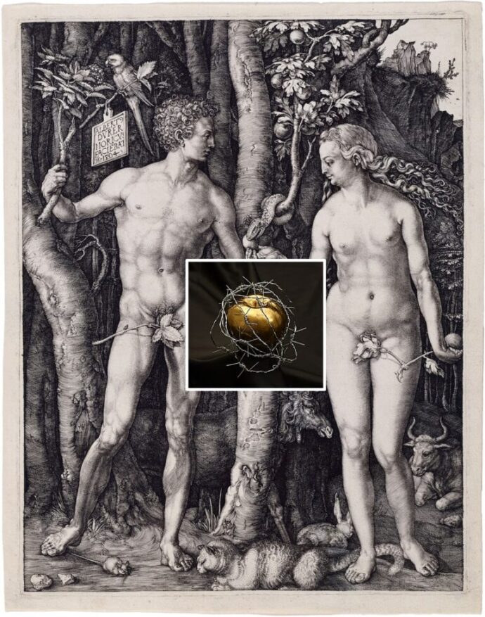 Eva y el mito de las mitades